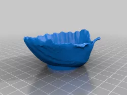 Everdell Updated Vessels - Shell and Boat