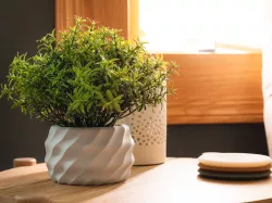 Organic Modern Planter
