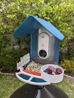 Bird Buddy Fruit Bowl