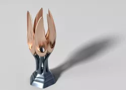 Wings to Fly - Award