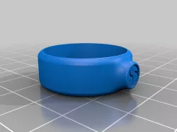 BDSM Ring