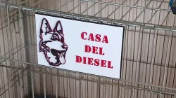 Dog Name Sign