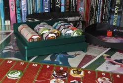 Organiser box for Feng Shui 2 shot counter tokens