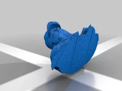 3D Scan Bust