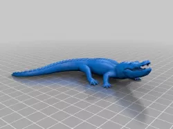 Alligator