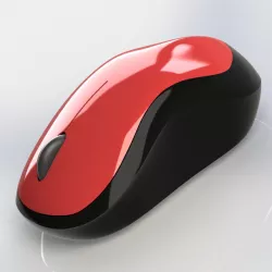 Mouse