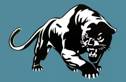 Panther