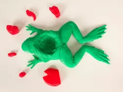 The Frog Dissection Kit