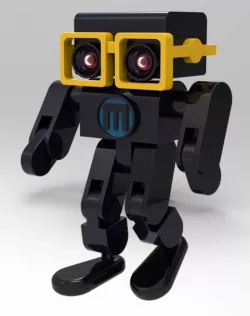 Toy