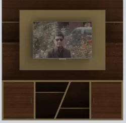 TV unit