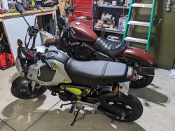 2022-2023 Honda Grom Rear Fender Eliminator