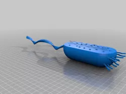 bacteria 