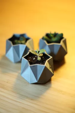 Mini Geometric Plant Pot