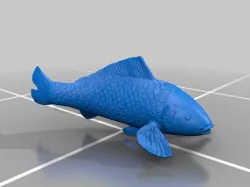 Nishiki's Koi Fish