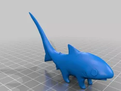 Thresher Shark Pup
