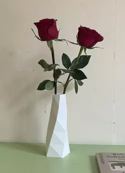 Twisted Container 