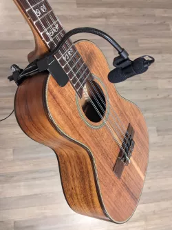 Ukulele t.bone ovid microphone holder