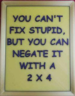 can you buy a 4x beyblade stadium in real life with the x elerator rail