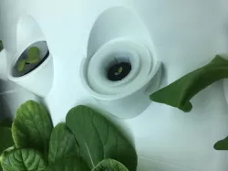 Aerogarden to 2" Net Cup converter lid (iHarvest)