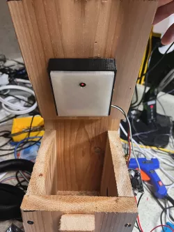 Birdhouse Camera 