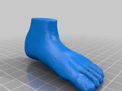 Foot
