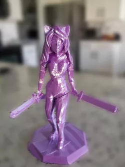 Neko mimi warrior