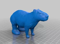 Capybara (MSCHF boots)