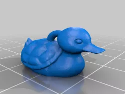 TurtleDuck Earring