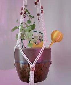 Water Globes