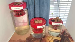 3d Printed Cup for Jars and tin cans Official Version 5 v1,2,3
