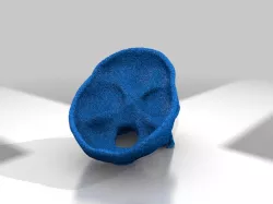 3D scan skull