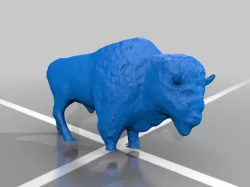 Búfalo / Buffalo