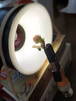 Macro ring/tunnel