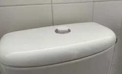Toilet flush button