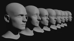 Basic face shapes with the correct topology 3D model
