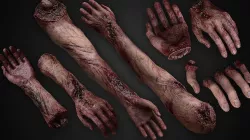Bloody Human Remains Rigged Low-poly 3D model