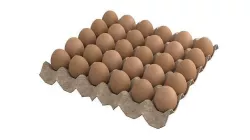 Cardboard eggs carton box pack 3D model