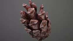 cone pine 3D model 3D model