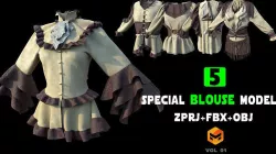 Special blouse models   MD  CLO3D  ZPRJ  OBJ  FBX Low-poly 3D model