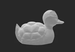 Turtle duck