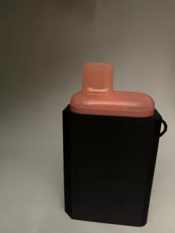 Vape Case 