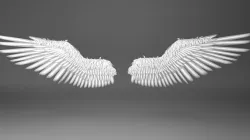 Angel Wings 3D model