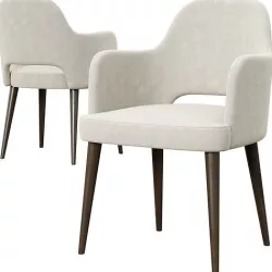Elane Cut Out Armchair A991C 3D model