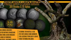 Forest Moss And Lichen Maker 300 ZBrush 3D model