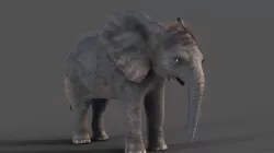 Fur Baby Elephant NO Rigged in Blender Low-poly 3D model