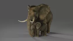 Fur Elephant and Baby Elephant Rigged in Blender  Low-poly 3D model
