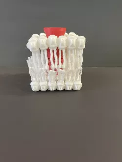 Interactive Cell Membrane Model