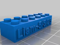 Liam Lego Brickj