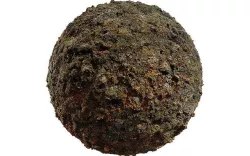 lichen and Moss covered rock pbr Texture