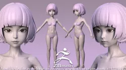 Loli basemesh girl Anatomy zbrush project 3D model